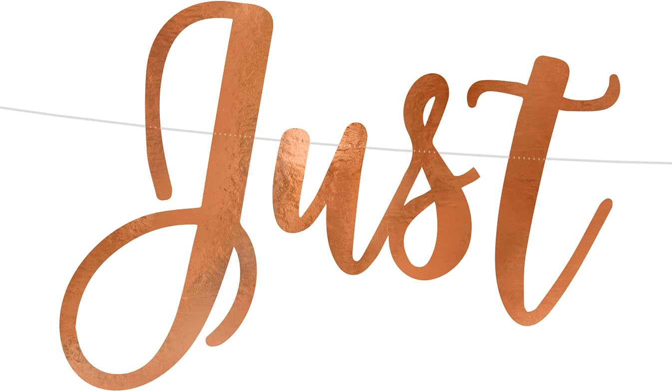 Partydeco Banner Just Married Rosegold