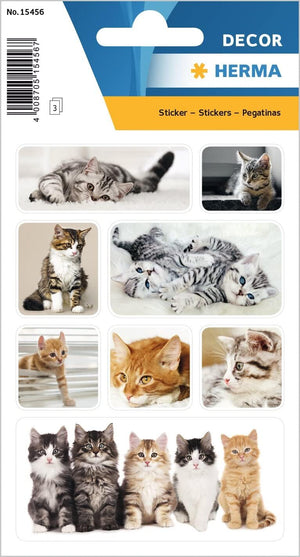 HERMA 15456 Tiere Sticker, Katzenkinder (24 Aufkleber, Papier, matt) selbstklebend, permanent haftende Motiv Etiketten für Mädchen und Jungen, bunt