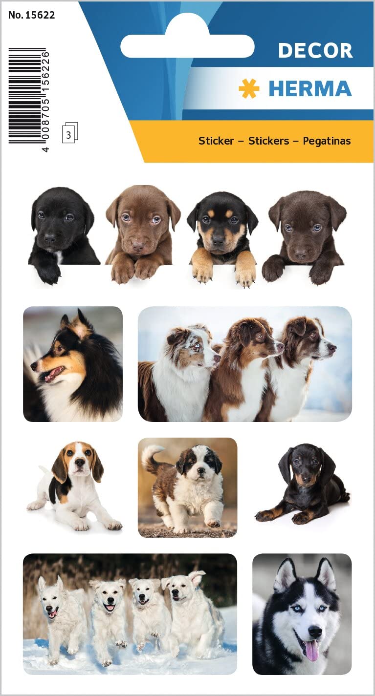 HERMA 15456 Tiere Sticker, Katzenkinder (24 Aufkleber, Papier, matt) selbstklebend, permanent haftende Motiv Etiketten für Mädchen und Jungen, bunt