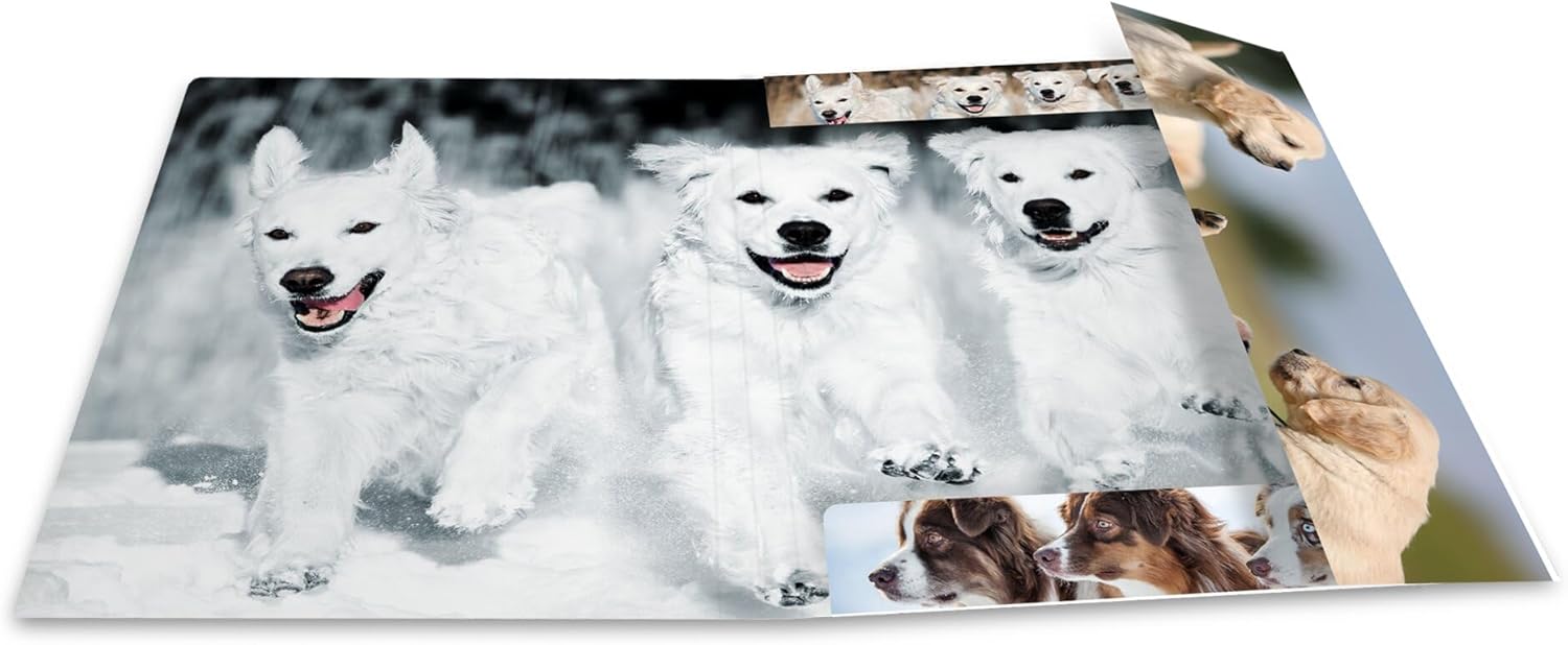 HERMA Sammelmappe A4 Hunde, Kinder Eckspanner-Mappe aus Pappe mit Tier Motiv, Gummizug, Innenklappen und Innendruck für Jungen und Mädchen