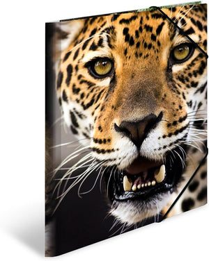 HERMA Sammelmappe A4 Leopard, Kinder Eckspanner-Mappe aus Kunststoff mit Tier Motiv, Gummizug, Innenklappen und Innendruck für Jungen und Mädchen