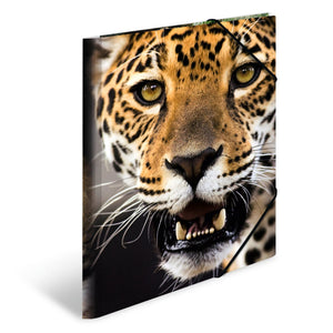 HERMA Sammelmappe A4 Leopard, Kinder Eckspanner-Mappe aus Kunststoff mit Tier Motiv, Gummizug, Innenklappen und Innendruck für Jungen und Mädchen