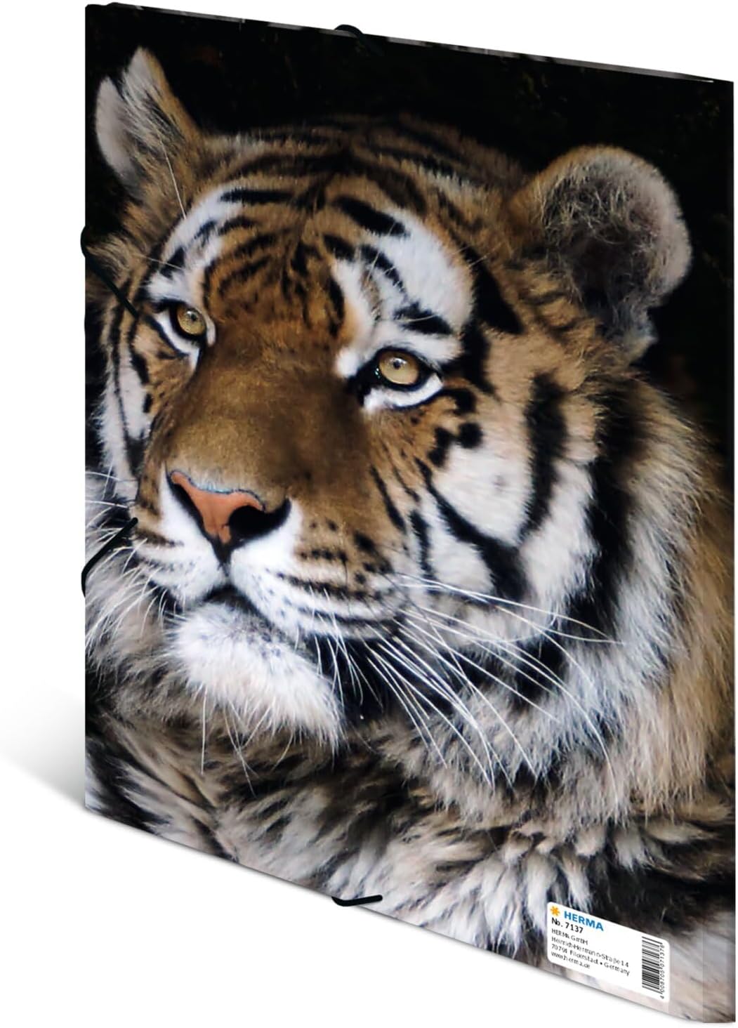 HERMA Sammelmappe A4 Leopard, Kinder Eckspanner-Mappe aus Kunststoff mit Tier Motiv, Gummizug, Innenklappen und Innendruck für Jungen und Mädchen