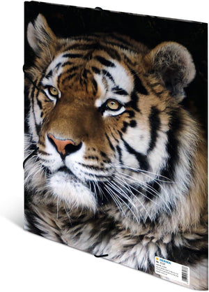 HERMA Sammelmappe A4 Leopard, Kinder Eckspanner-Mappe aus Kunststoff mit Tier Motiv, Gummizug, Innenklappen und Innendruck für Jungen und Mädchen