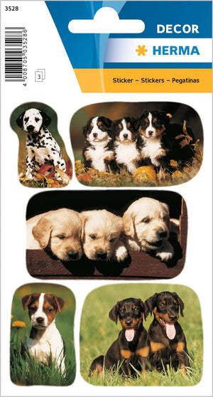 HERMA 15456 Tiere Sticker, Katzenkinder (24 Aufkleber, Papier, matt) selbstklebend, permanent haftende Motiv Etiketten für Mädchen und Jungen, bunt