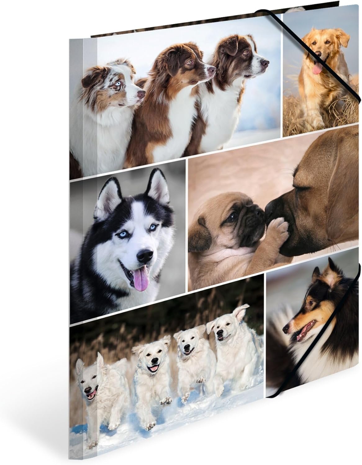 HERMA Sammelmappe A4 Hunde, Kinder Eckspanner-Mappe aus Pappe mit Tier Motiv, Gummizug, Innenklappen und Innendruck für Jungen und Mädchen