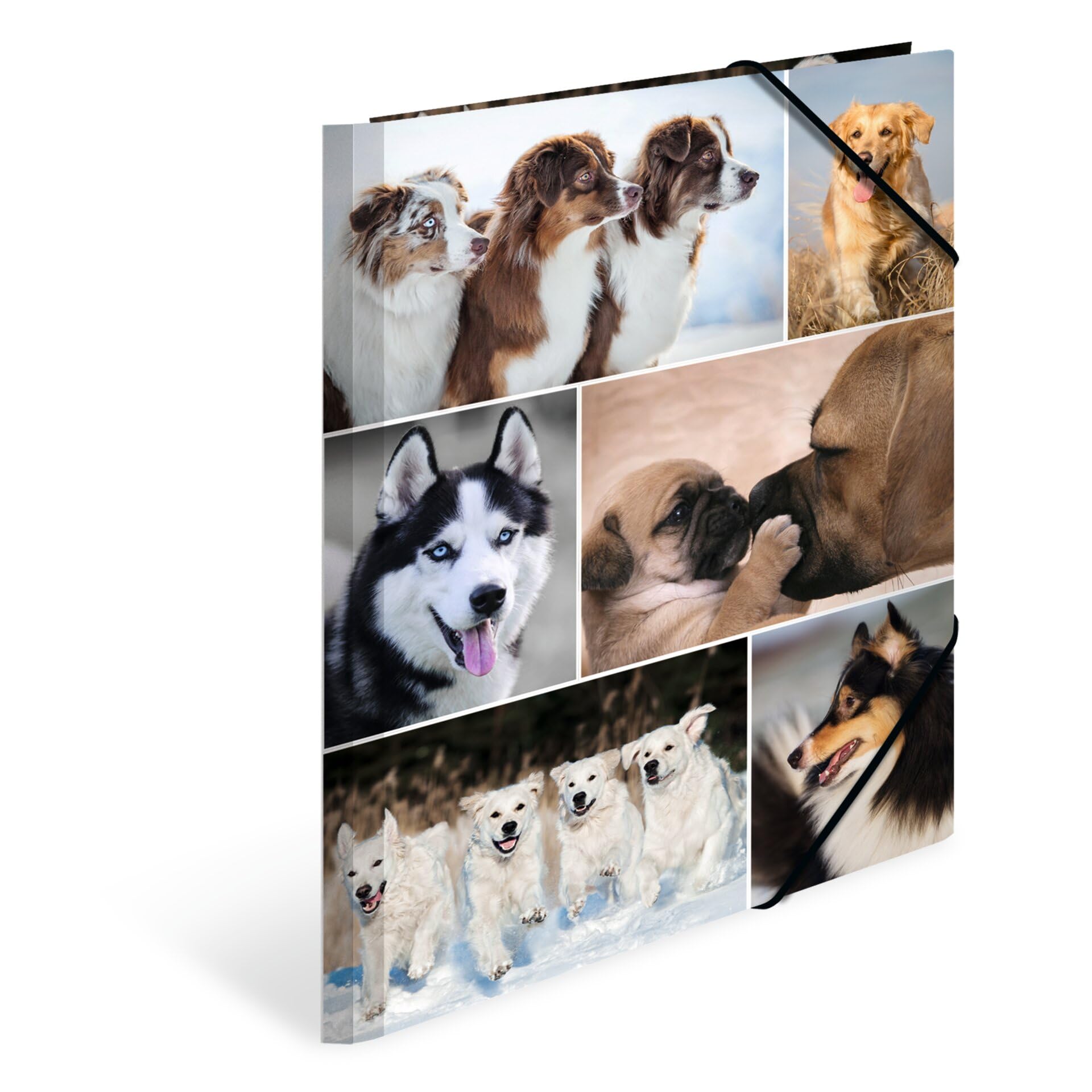 HERMA Sammelmappe A4 Hunde, Kinder Eckspanner-Mappe aus Pappe mit Tier Motiv, Gummizug, Innenklappen und Innendruck für Jungen und Mädchen