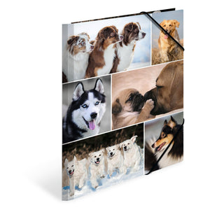HERMA Sammelmappe A4 Hunde, Kinder Eckspanner-Mappe aus Pappe mit Tier Motiv, Gummizug, Innenklappen und Innendruck für Jungen und Mädchen