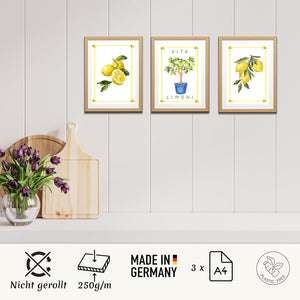 Lemina Küchen Bilder Küchen Dekoration Wandbilder DIN A4 Made in Germany (Zitrone)