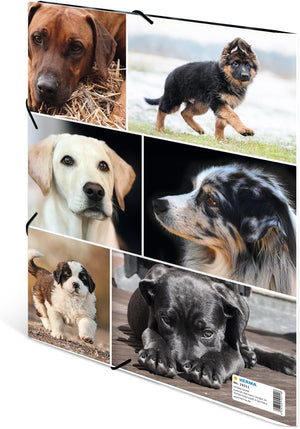 HERMA Sammelmappe A4 Hunde, Kinder Eckspanner-Mappe aus Pappe mit Tier Motiv, Gummizug, Innenklappen und Innendruck für Jungen und Mädchen