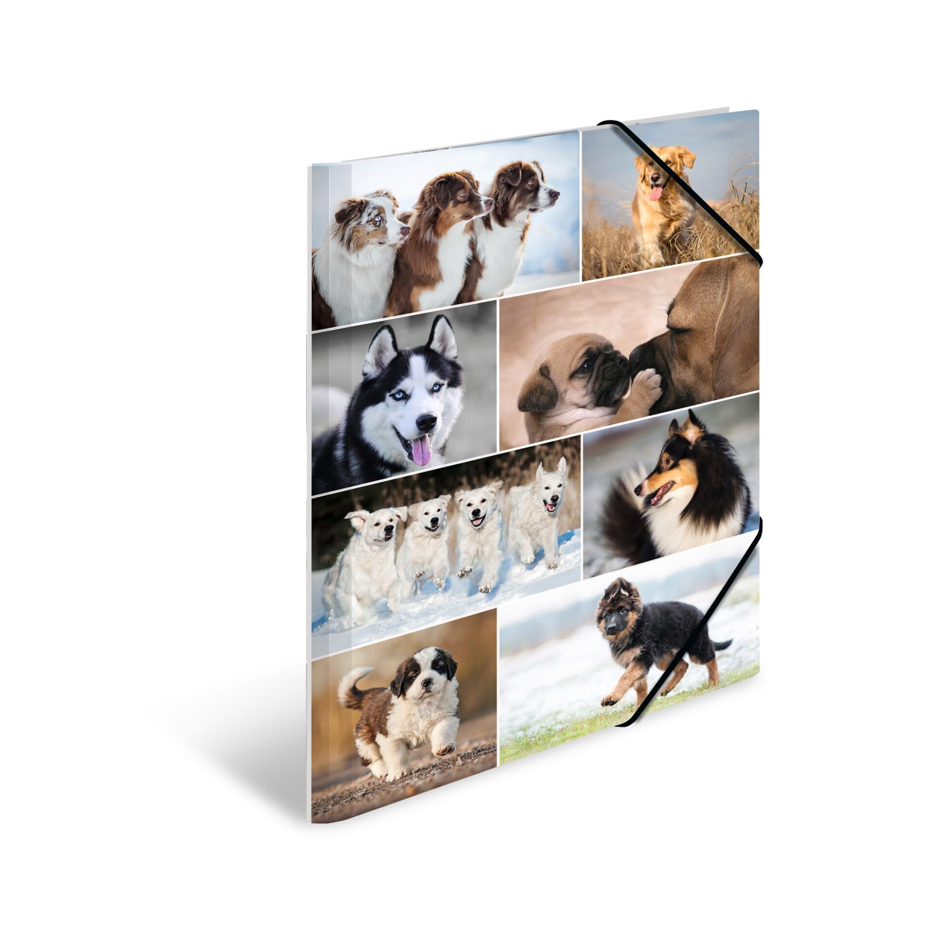 HERMA Sammelmappe A4 Hunde, Kinder Eckspanner-Mappe aus Pappe mit Tier Motiv, Gummizug, Innenklappen und Innendruck für Jungen und Mädchen