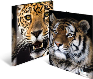 HERMA Sammelmappe A4 Leopard, Kinder Eckspanner-Mappe aus Kunststoff mit Tier Motiv, Gummizug, Innenklappen und Innendruck für Jungen und Mädchen