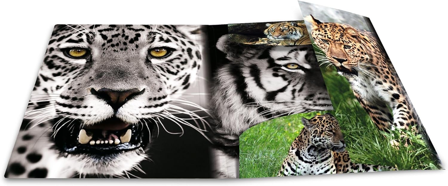 HERMA Sammelmappe A4 Leopard, Kinder Eckspanner-Mappe aus Kunststoff mit Tier Motiv, Gummizug, Innenklappen und Innendruck für Jungen und Mädchen