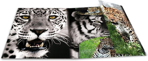 HERMA Sammelmappe A4 Leopard, Kinder Eckspanner-Mappe aus Kunststoff mit Tier Motiv, Gummizug, Innenklappen und Innendruck für Jungen und Mädchen