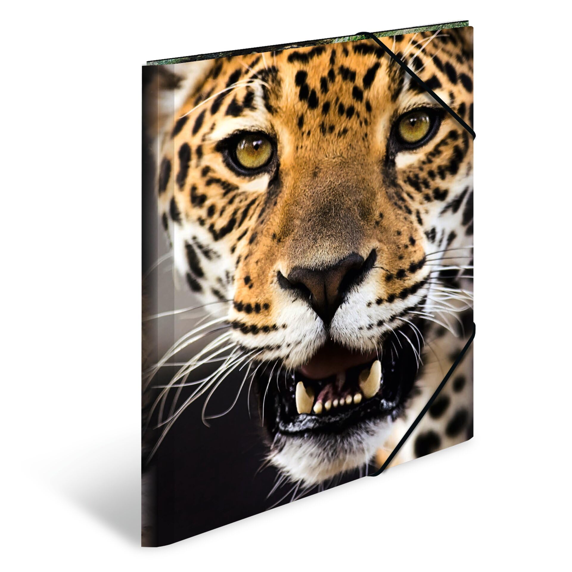 HERMA Sammelmappe A4 Leopard, Kinder Eckspanner-Mappe aus Kunststoff mit Tier Motiv, Gummizug, Innenklappen und Innendruck für Jungen und Mädchen