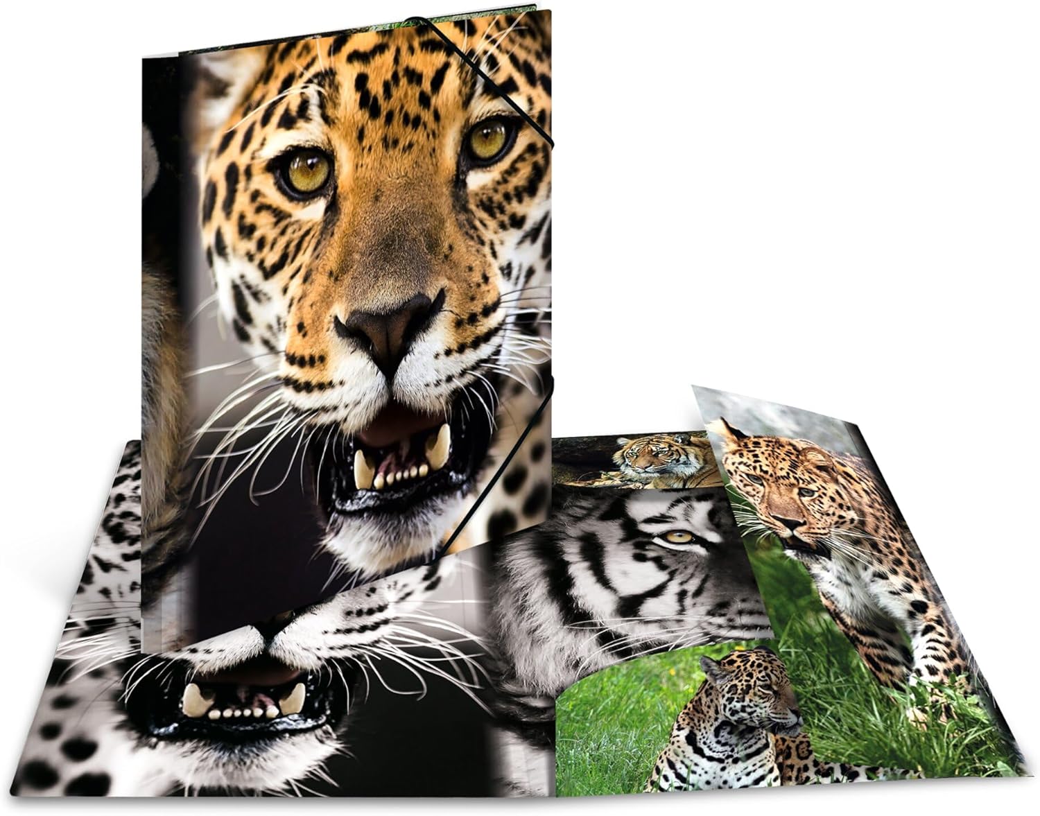 HERMA Sammelmappe A4 Leopard, Kinder Eckspanner-Mappe aus Kunststoff mit Tier Motiv, Gummizug, Innenklappen und Innendruck für Jungen und Mädchen