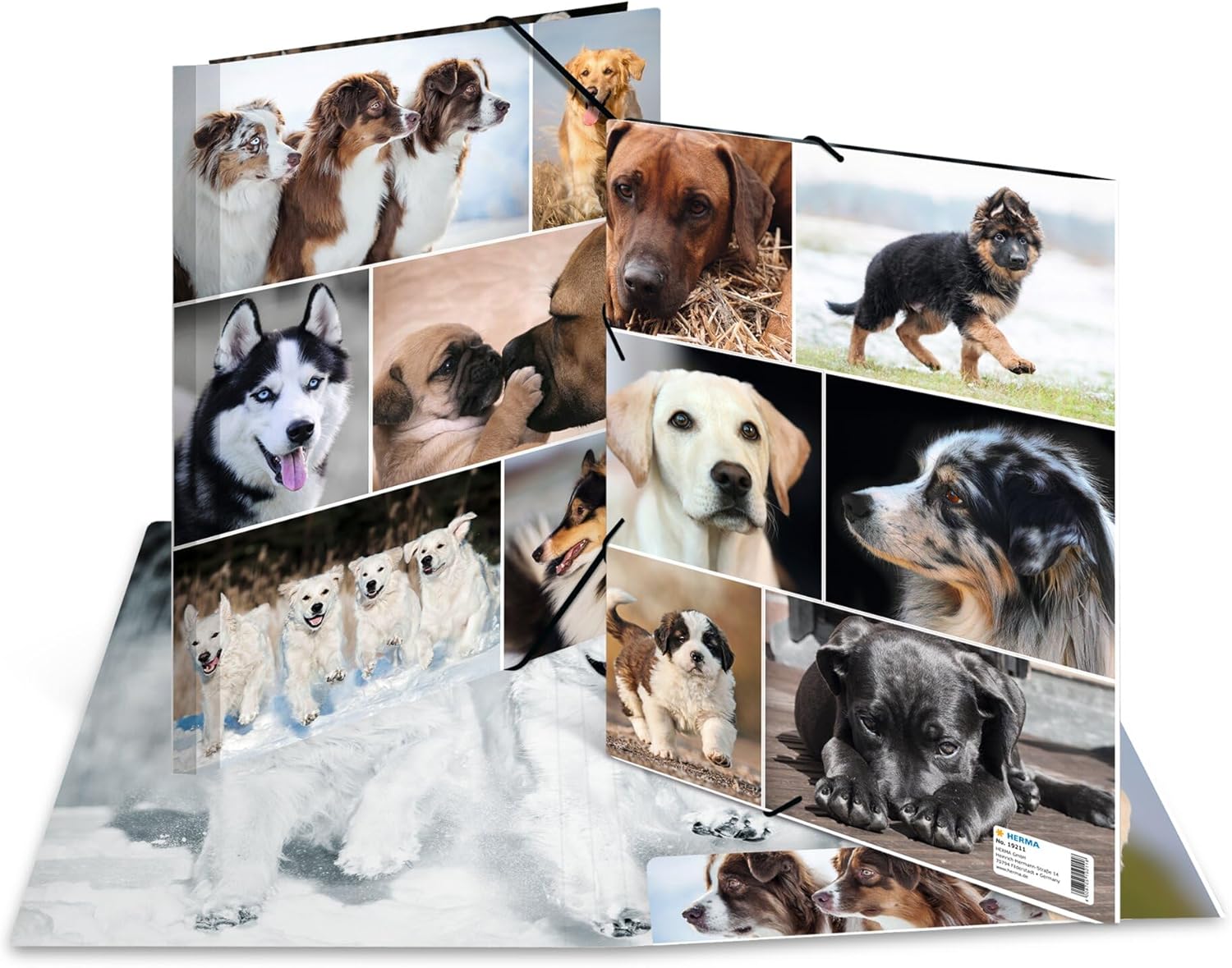 HERMA Sammelmappe A4 Hunde, Kinder Eckspanner-Mappe aus Pappe mit Tier Motiv, Gummizug, Innenklappen und Innendruck für Jungen und Mädchen