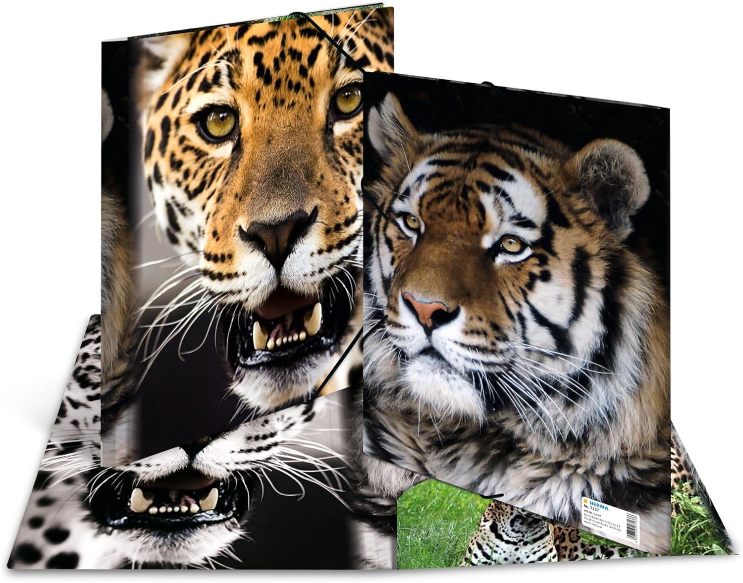HERMA Sammelmappe A4 Leopard, Kinder Eckspanner-Mappe aus Kunststoff mit Tier Motiv, Gummizug, Innenklappen und Innendruck für Jungen und Mädchen