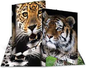 HERMA Sammelmappe A4 Leopard, Kinder Eckspanner-Mappe aus Kunststoff mit Tier Motiv, Gummizug, Innenklappen und Innendruck für Jungen und Mädchen