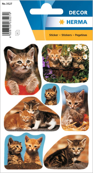 HERMA 15456 Tiere Sticker, Katzenkinder (24 Aufkleber, Papier, matt) selbstklebend, permanent haftende Motiv Etiketten für Mädchen und Jungen, bunt
